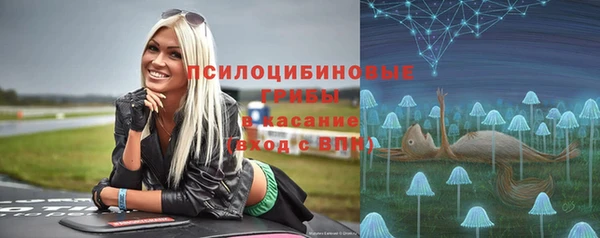 а пвп мука Вяземский