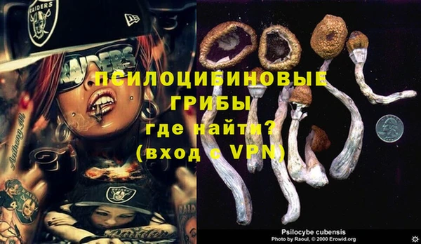 СК Гусев