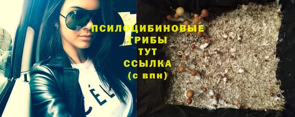 альфа пвп Гусь-Хрустальный
