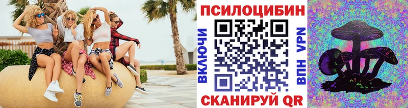 Купить закладки  Мосальск  Псилоцибиновые грибы мухоморы 